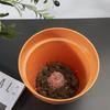 5Pcs Plant Bottom Grid Breathable Conical Design Plastic Protect Soil Loss Bonsai Mat Garden Supplies