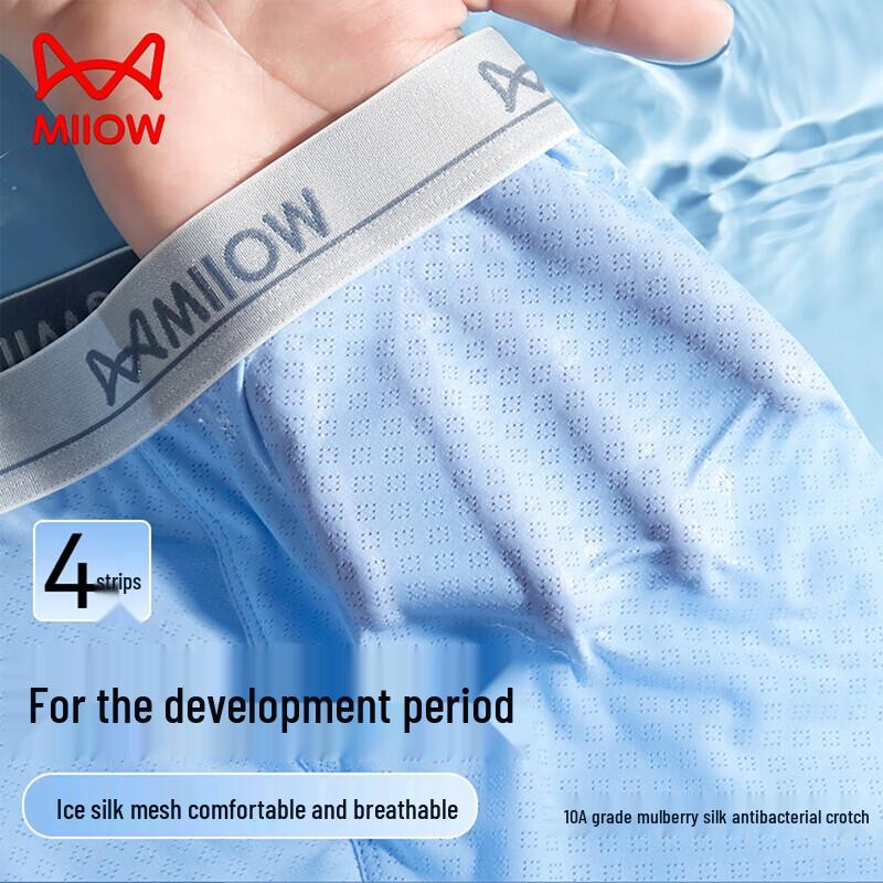 MaoRen Teen Boys Ice Silk Breathable Underwear 4-Pack