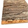 BioVirgin Cork Background Dark 30x20cm Cork Background for Terrariums