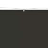 Vertical Awning Anthracite 140 X 800 Cm Oxford Fabric