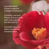 Shiseido Ultimune Power Infusing Serum 2.5 Oz For Radiance   Wrinkles