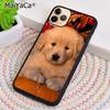 Golden Retriever Dog Cute Puppy Phone Case Shell For iPhone 17 Air 12 13 16 pro max 15 14 plus Cover coque