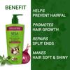 SESA Ayurvedisches Anti-Haarausfall-Shampoo für trockenes, krauses Haar 500ml | Parabenfreier Kräuterreiniger für Spliss und stärkere Wurzeln