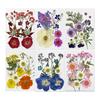 6 Bags of Pressed Flowers, Multipurpose Assorted Styles, Colorful Dried Flowers, Real Pressed Flowers, Dried Leaves, Bulk, Natural Herb Kit,