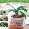 5PCS Plastic Orchid Pots 4/5/6 Inch Nursery Planters with Drainage Holes Air Vents Flower Pots for Phalaenopsis Indoor Plant