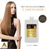 Phiten Color Shampoo B 1000ml 0916HSH9100 Lock-in