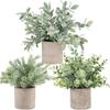 Decorațiuni pentru casă – Flori decorative şi coroane de flori