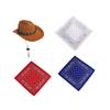 Porch Goose Cowboy Hat and Bandana Scarf Western Theme Outfit for Cement Bird Statue Lawn Patio Decoration