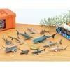 Carolata 3D Illustrated Guide to Sharks (12 Figures / Includes Instruction Manual and Stand) Realistic Toy (Educational Toy) Birthday Gift (Food Sanit
