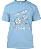 Blizzard of '93 Tee T-Shirt Size S To 5XL