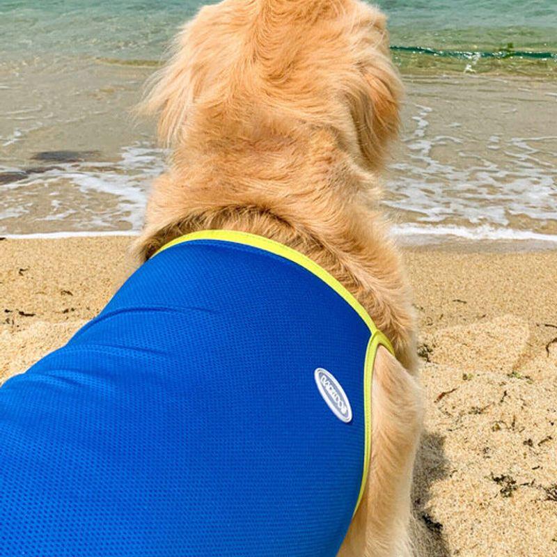 BARKDOG Functional Cool Bug Guard 2 Types M-6XL 3 Colors