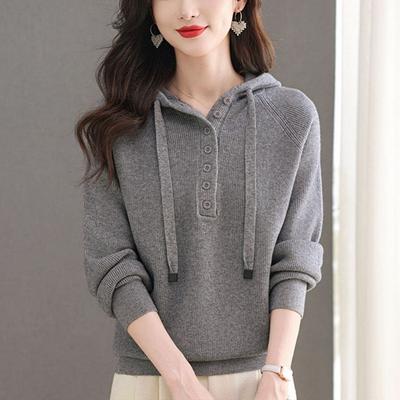 New Autumn and Winter Hooded Sweater Loose Casual and Western-style Sweatshirt New Wool Knitted Bottoming Top
