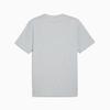 Men's T-shirt Puma GRAPHICS MOUNTAIN Gray 62791104 R S