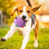Bite-resistant Plush Dog Vocal Toy Ball Creative Pet Shake Sound Toy  Relieve Boredom