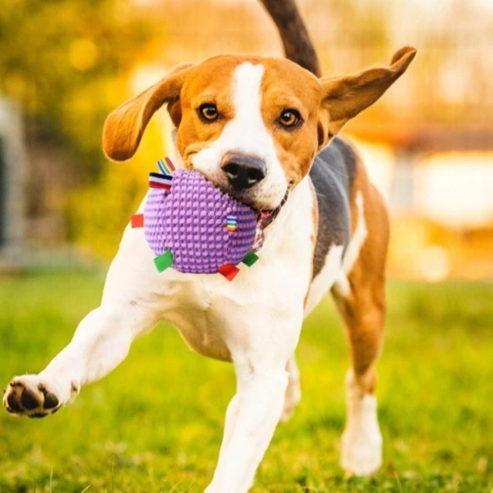 Bite-resistant Plush Dog Vocal Toy Ball Creative Pet Shake Sound Toy  Relieve Boredom