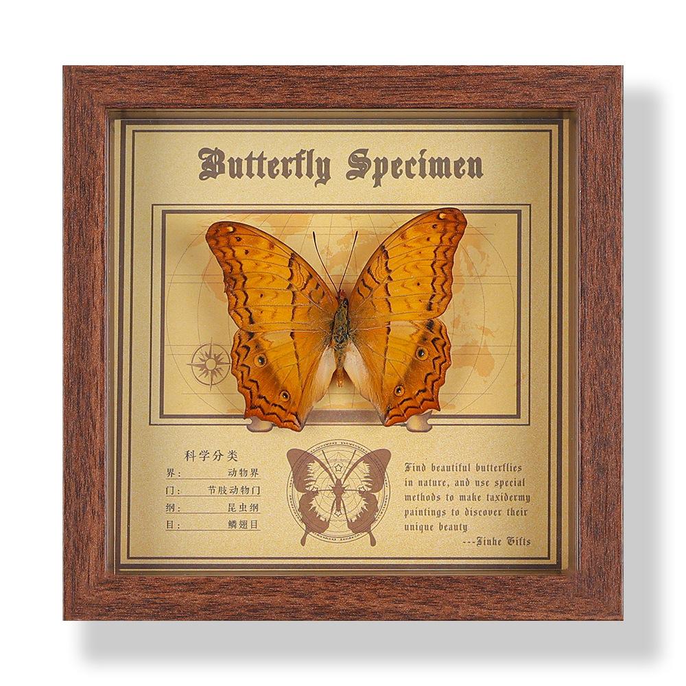 Real butterfly specimen photo frame, decorative painting, 3D ornament, handmade DIY, birthday gift, insect specimen