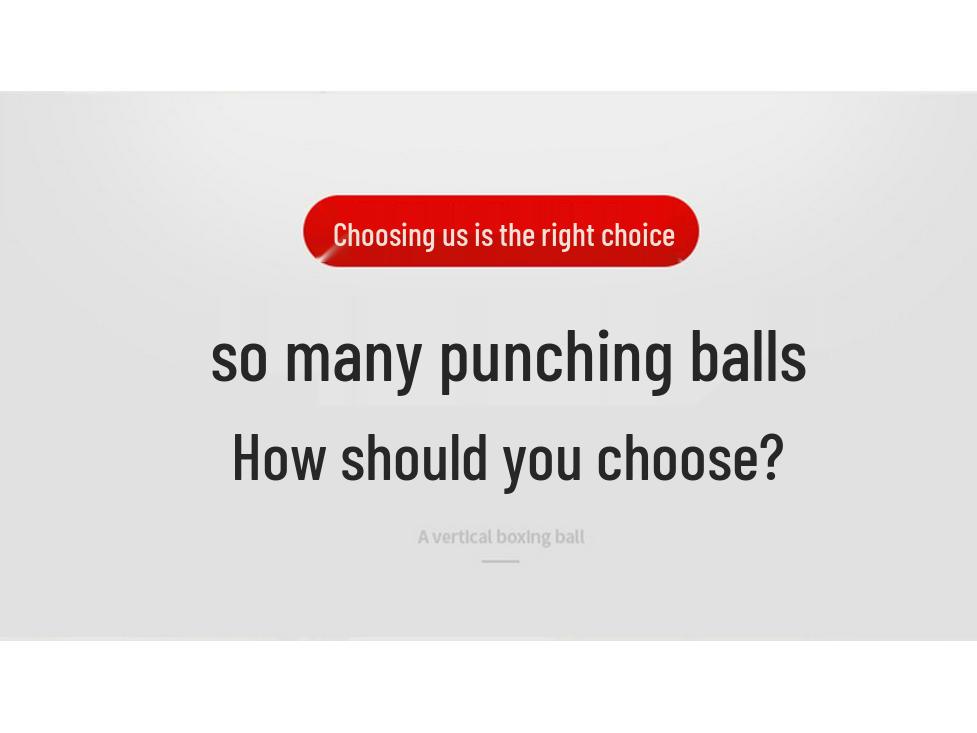 Freestanding Adult Boxing Speed Ball Reaction Trainer and Punching Bag Tumbler.