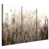 Canvas Painting Italian 120 X 80 Cm Triptych - Boho Style - Nature