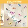 Spring Insect Birthday Theme Wall Stickers With Dragonfly Designs For Party Kids