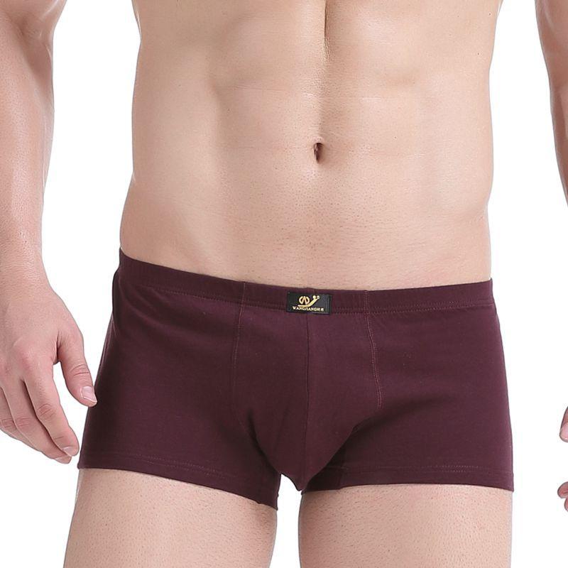 Men's Low Waisted Printed Underwear Men's Pure Cotton Breathable Youth Plus Size Four Corner Shorts
