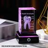 3D Lasers Etched Crystal Human Organs Model Anatomical Heart/Teeth Figurines Glass Paperweight with LED Base Doctor