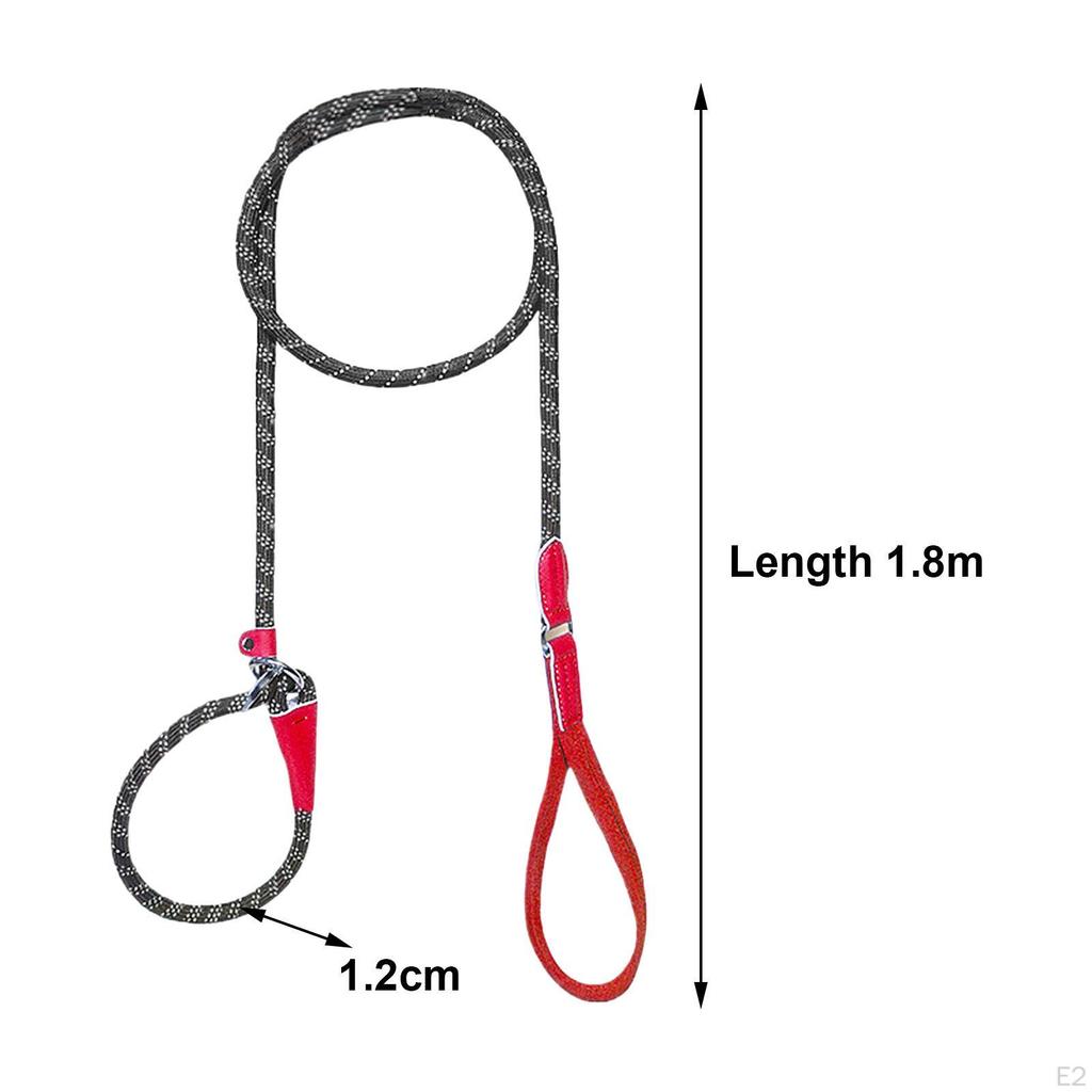 Dog Leash for Active Medium To Large Pets
