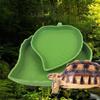 Healthy Feed For Pets Durable Plastic Bowl With Easy To Clean Drinking Bowl Dish Reptile Water Bowl Pet Bowl Feeder Small Leaf Style