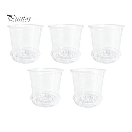 Breathable Plant Pots for Rootlets Clear Plastic Orchid Pot with Saucer, Drainage Holes, Ventilated Flower Rose, Phalaenopsis, Seedings Containers