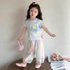 Summer Girls Fashionable Casual Two Piece Set Cute Baby Short Sleeve T Shirt And Pants Trendy Kids Clothing