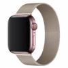 Toepasbare Magnetische Milanese Band voor Apple Watch Series 8/7/6/SE/5/4/3/2 en iWatch