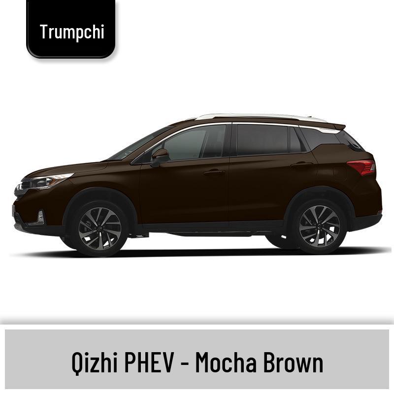 Car Paint Repair & Touch-Up for GAC Qizhi PHEV/Shadow Leopard/Cool