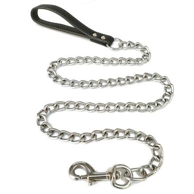 Köpek – Köpek Tasmaları ve Tasma Kayışları