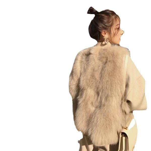 New Autumn and Winter Imitation Fur Vest Women's Short Vest Vest Imitation Fox Hair Plush Internet Celebrity Vest Jacket