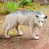 Children's Cognitive Solid Wolf Ornament - Realistic Tilting Head White & Gray Wolf Toy Model