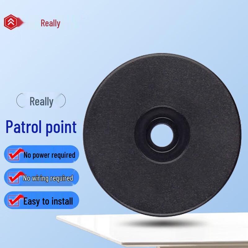 Realand ZD-101S Inductive Guard Tour Patrol System