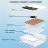 36 Eggs 220V Farm Hatchery Incubator Brooder Machine Egg Hatchers Chicken Automatic Eggs Incubator Bird Quail Brooder