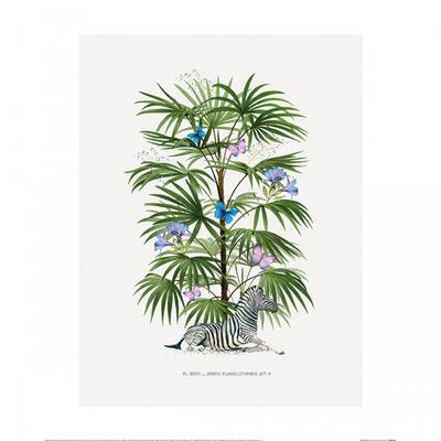 Summer Thornton Palm Tree Poster