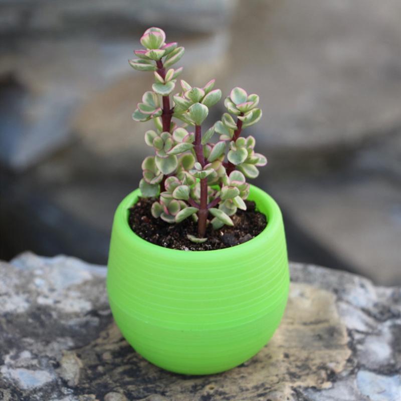 6 Packages Of Succulent Flower Pots Mini Stone Ball Pots Multi-Color Optional Thickened Resin Plastic Pots