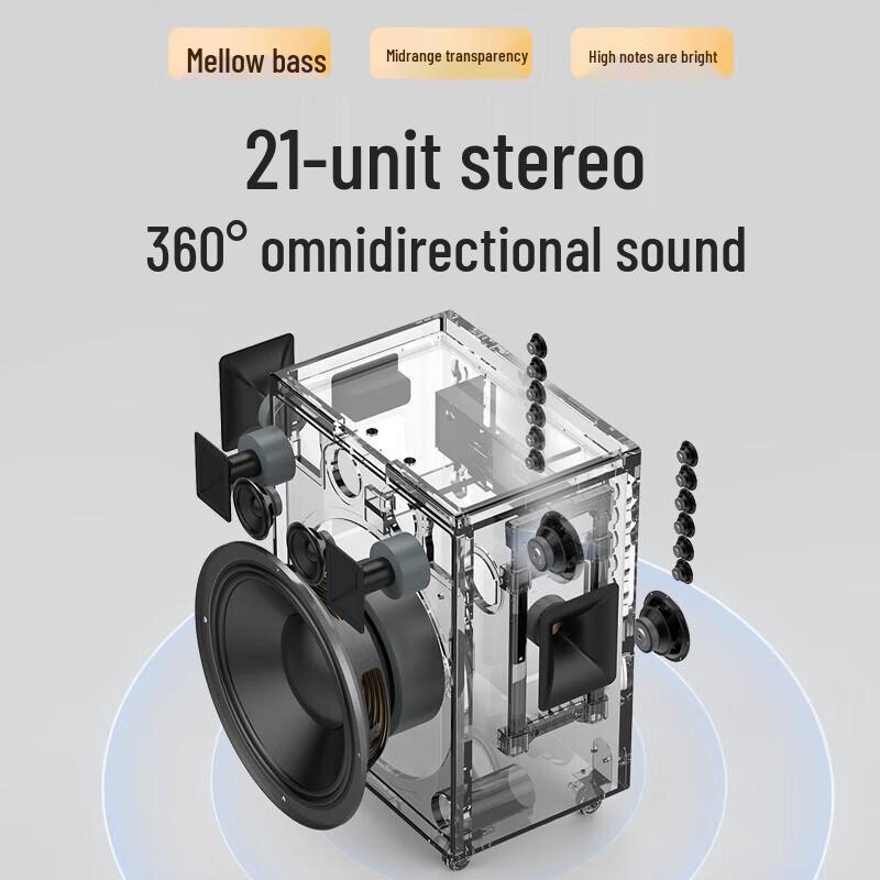 SANSUI Outdoor Karaoke Speaker System with 21-inch Screen