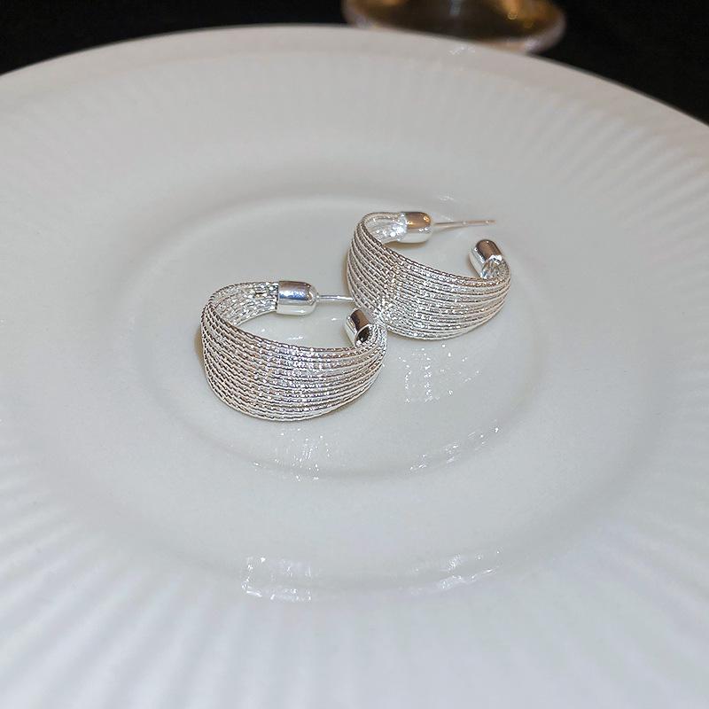 Silver Needle Geometric Metal Earrings: Elegant, Fashionable, High-End Design Stud Jewelry.