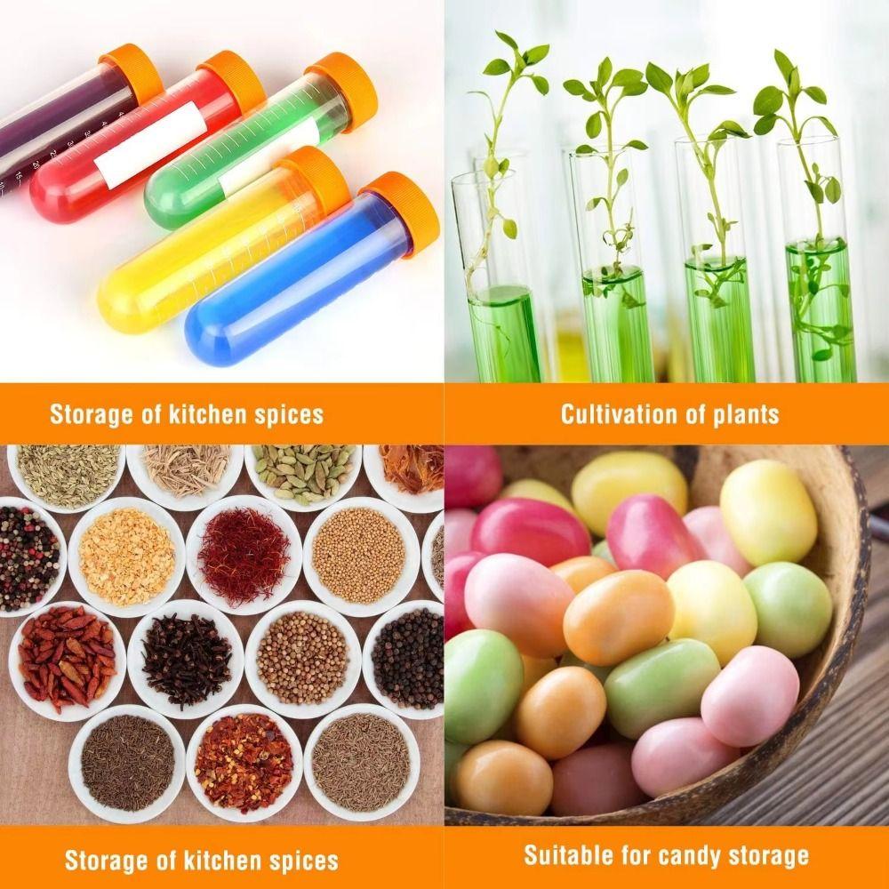 Learning Plastic Droppers Centrifuge Tube Holder Science Test Tubes Kids Test Tubes  Student Use