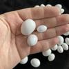 10pcs Realistic Dummy Eggs Multi-size Parrot Eggs Model Simulation Bird Eggs  For Budgie Cockatiel