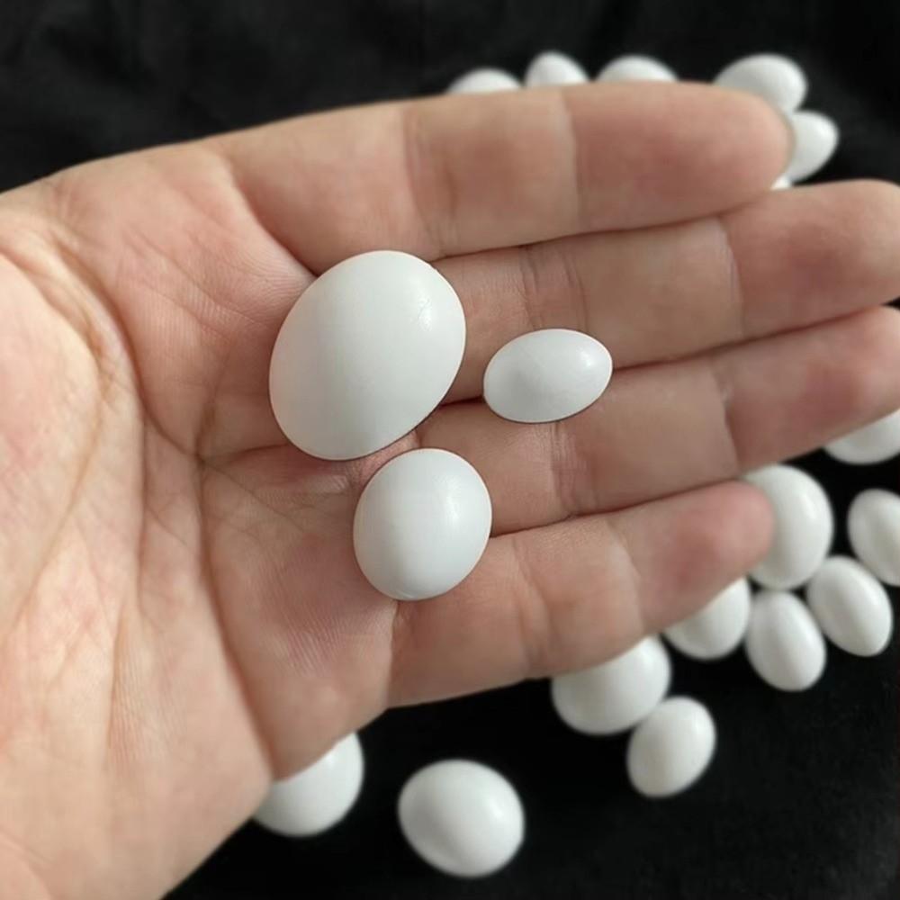 10pcs Realistic Dummy Eggs Multi-size Parrot Eggs Model Simulation Bird Eggs  For Budgie Cockatiel