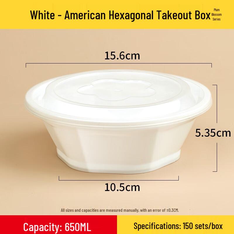 American-Style Disposable Takeout Lunch Box