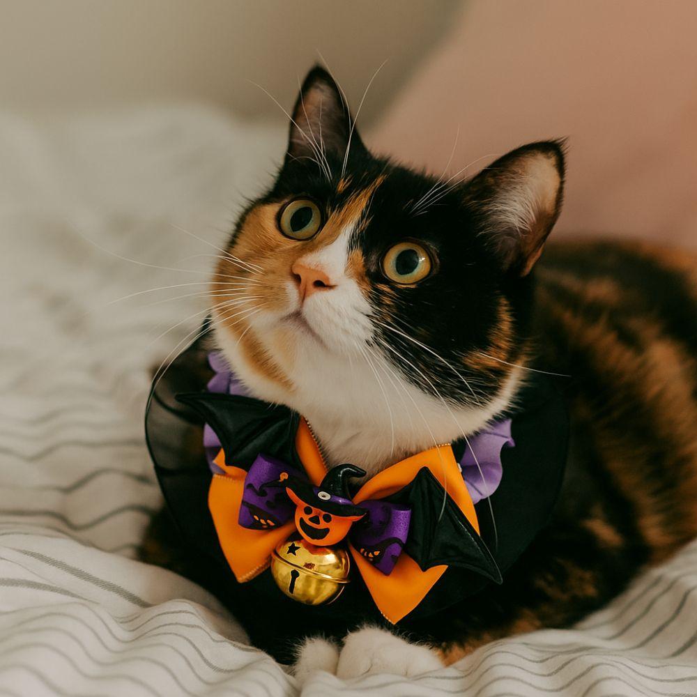Dog Accessories Adjustable Halloween Cat Collar Soft Lace Puppy Bat Bow Tie with Bell Dog Pumpkin Bow Collar Festive