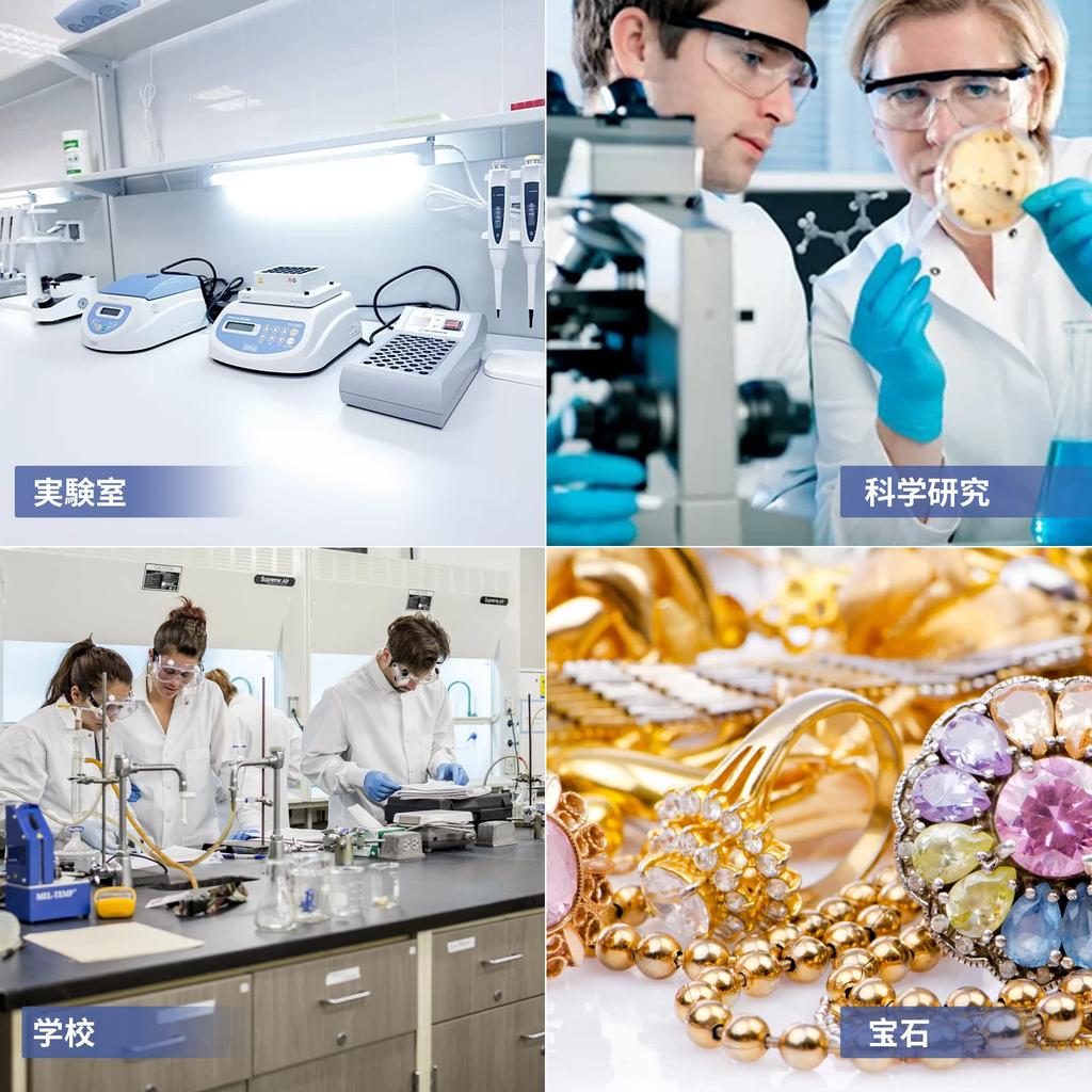 LACHOI Precisionselektronisk 100g x Digital Precisionselektronisk Analytisk Digital för Smycken och Smycken Inkluderar Vindskydd och Japansk