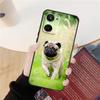 Pug Dog French Bulldog Case For Realme GT Neo 5 3 2 3T 8 9 10 Pro Plus C33 C35 C31 C30 C11 C15 C25 C21Y C55 Cover