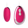 Rotor Vibrator for Women Popular Clitoris Electric Massager Vibrator Clitorism Egg Shape 10 Patterns Strong Vibration Silicone Silent Waterproof