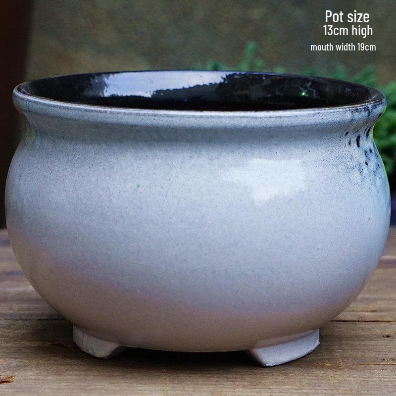 Personalized Large Ceramic Succulent Flower Pot with Wide Caliber - Free Shipping