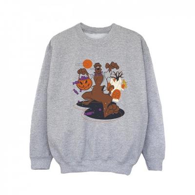 Parte superior (Meninas a partir de 4 anos) – Camisolas e sweatshirts
